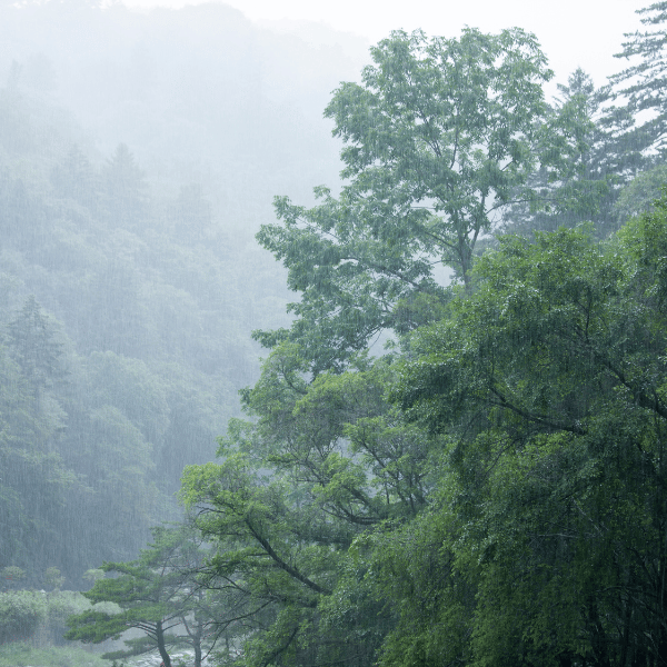 Where to retire with Cool weather